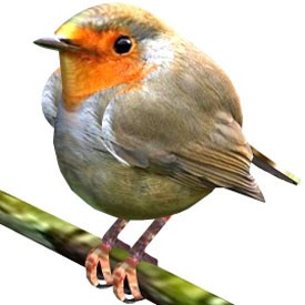 Little bird 3D Object | FREE Artlantis Objects Download